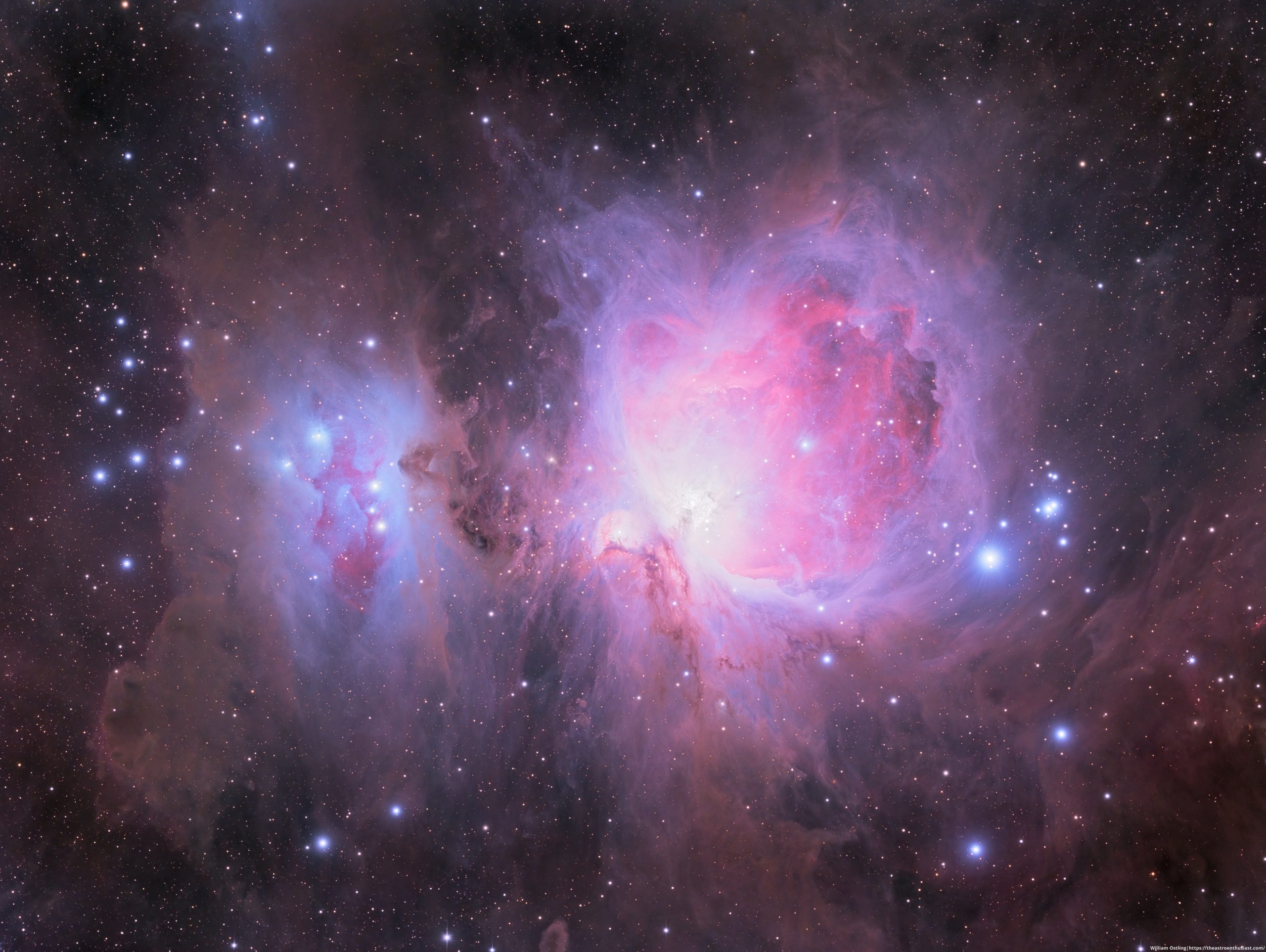 Orion and the Starborn